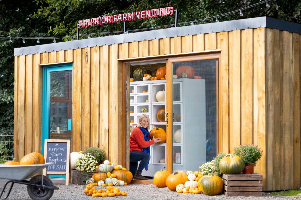 Arnprior Pumpkin Vending Machines 1